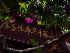 -高荡千年布依古寨旅游景区