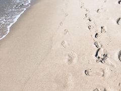 -半山半岛洲际度假酒店·观海廊