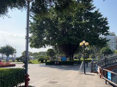 -石炮台公园