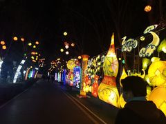 -淄博花灯齐彩城