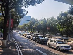 -重庆市江北嘴中央商务区中央公园