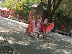 -西安曲江寒窑遗址公园