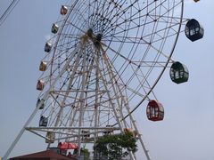 -金卉庄园