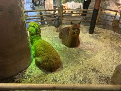 -Zoolung Zoolung动物主题公园(海信广场店)