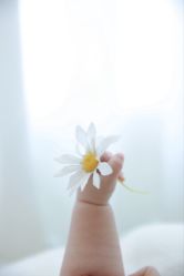 -初·印象孕妇儿童摄影馆