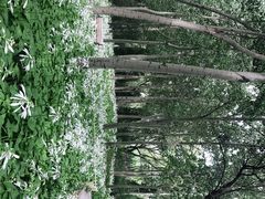 -森林公园(尖草坪区)