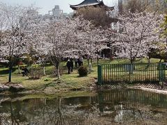 -堤角公园