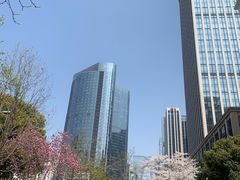 -中央公园(苏州工业园区)