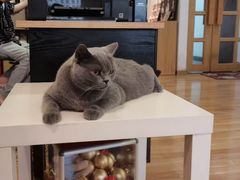 -壹人壹像工作室(购物公园店)