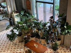 -有序Orderly融合西餐·咖啡(运河外滩店)