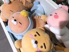 -KAKAO FRIENDS(弘大店)