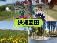 -洪湖生态旅游区