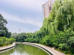 -南长河公园