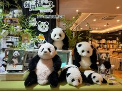 -轩客会(熊猫书店)
