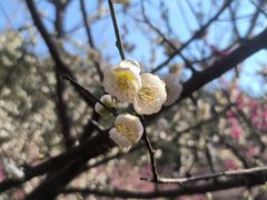 -宜昌下牢溪