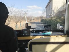 -盐城丹顶鹤湿地生态旅游区
