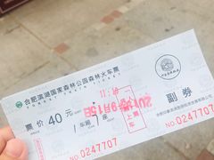 -合肥滨湖国家森林公园