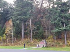 -五营红松林海景区
