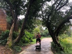 -杭州开元森泊度假乐园