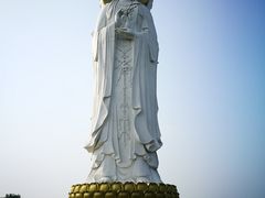 -白洋淀景区
