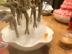 -尚海豆捞(乐虹坊店)