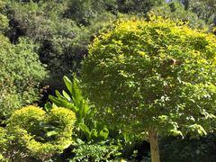 -广州白江湖森林公园