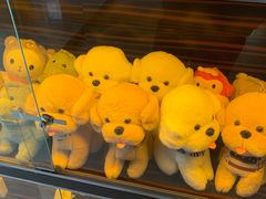 -金色印象·4K影院式足体养生(南滨印象店)
