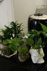 -伊布老裁缝西装礼服定制