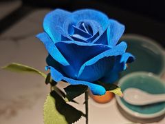 -雀蓝川菜(滨湖万象汇店)
