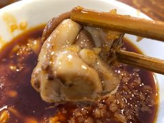 -中和远东火锅兔(老店)