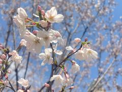 -西北湖绿化广场