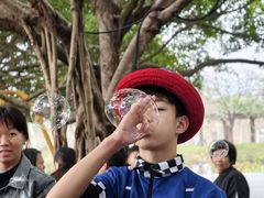 -森波拉奇妙世界
