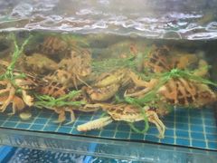 -坛南湾阿强农家乐.海鲜大排档老字号(福州地标美食店)