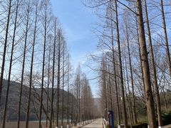 -黄河小浪底水利枢纽风景区