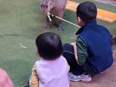 -正佳雨林生态植物园