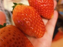 -盒马鲜生(富田新天地店)