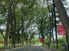 -棒棰岛宾馆景区