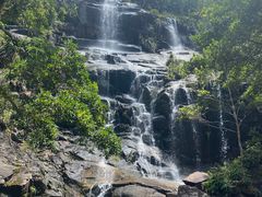 -海南热带雨林国家公园吊罗山景区