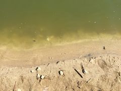 -佛山祈福仙湖酒店