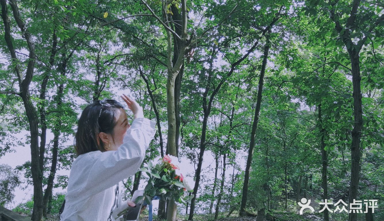 重庆周边游｜和小伙伴一起闯入漫画般的世界