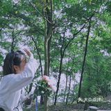 重庆周边游｜和小伙伴一起闯入漫画般的世界