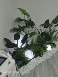 -HEYAN荷妍专业脱毛连锁机构
