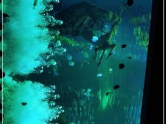 -波塞冬海底世界