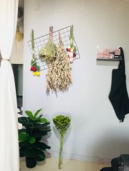 -15 Nail日式美甲美睫