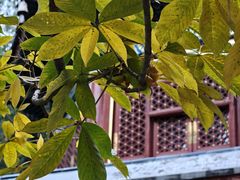 -香山公园-东宫门售票处