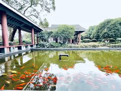 -八大山人梅湖景区