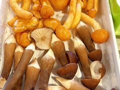 -川西坝子火锅(金沙1.0直营店)