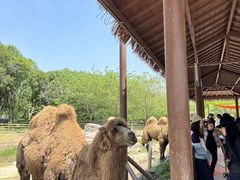 -宁波野生动物园