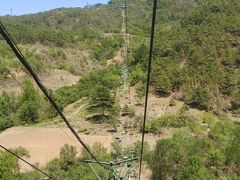 -磬锤峰森林公园