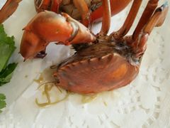 -友强·23年特色海鲜大排档(厦门店)